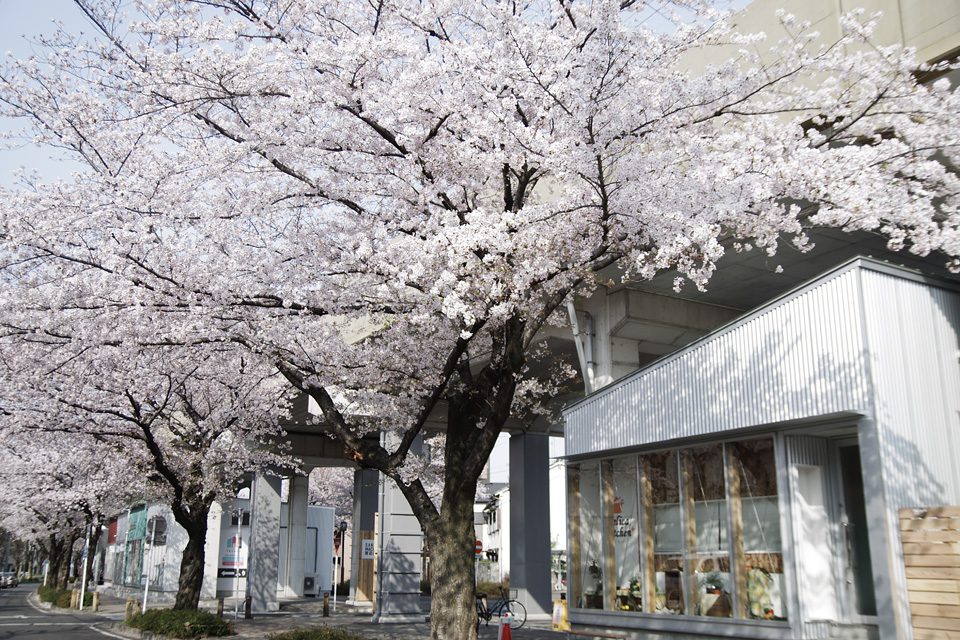 SAKUMACHI商店街の見学会+セミナー