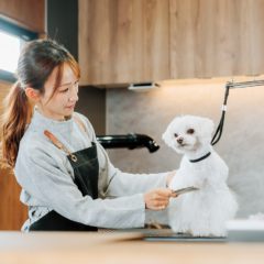 まちづくりコラム：トレーラーハウスから生まれた、犬の“心もケアする”ドッグサロン「dog care salon LuLuTe 」