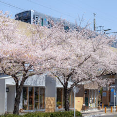 メディア情報：SAKUMACHI商店街がWEBメディアで紹介されました